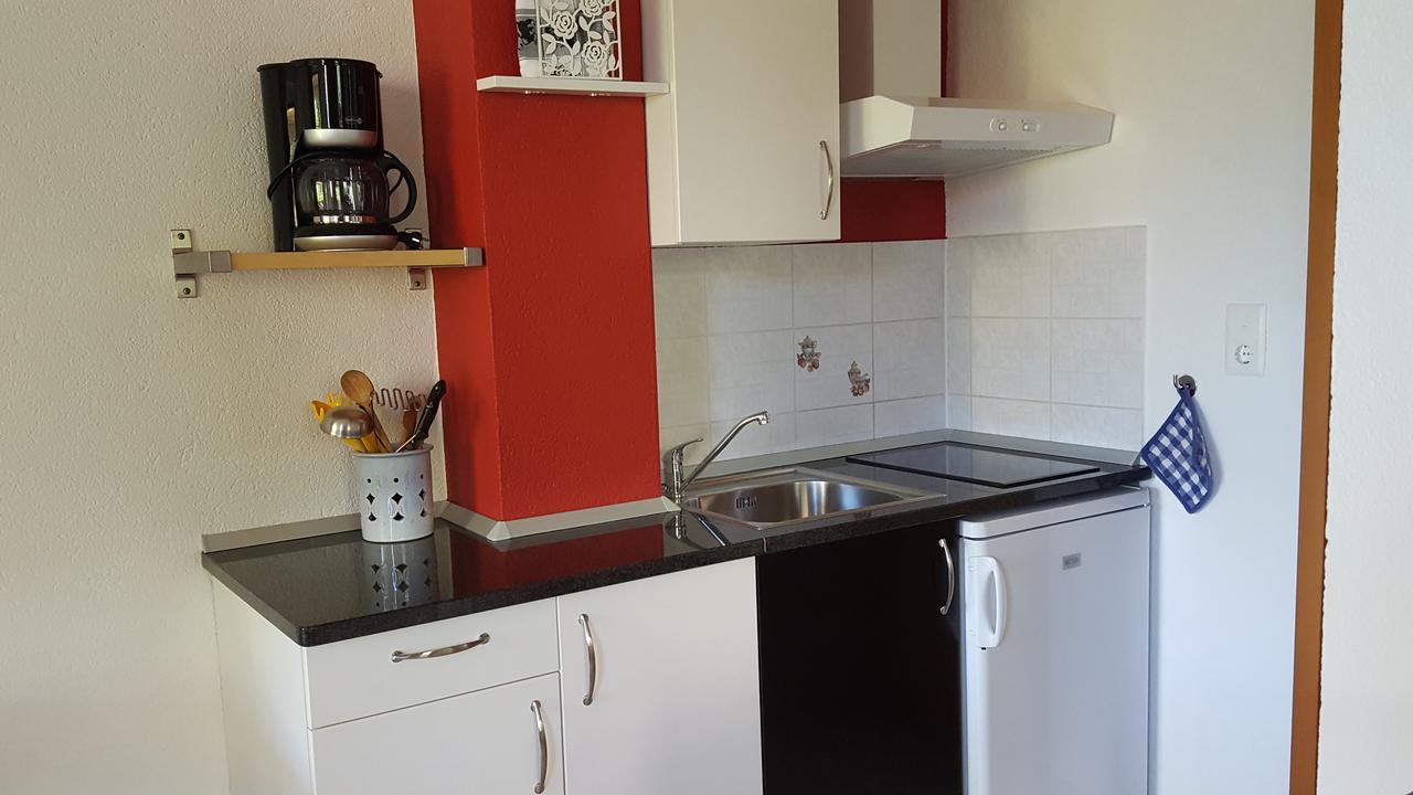 Ginkgo Apartments Banjole Zewnętrze zdjęcie